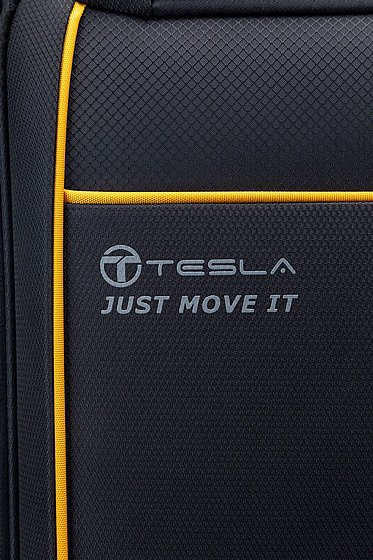 TESLA-����