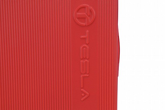 TESLA-����