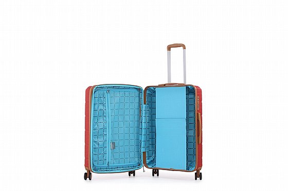 SWISS-���� �����