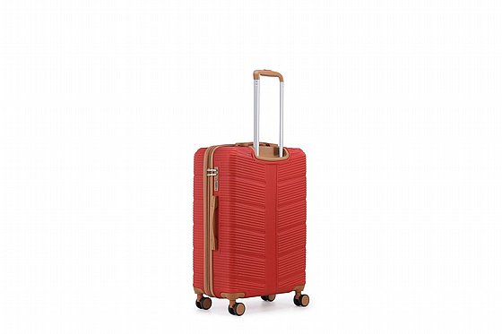 SWISS-���� �����