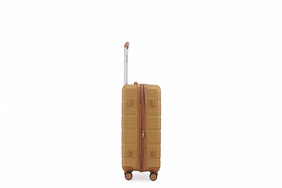 SWISS-��� ����