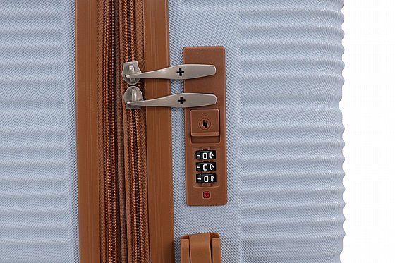 SWISS-���� �����