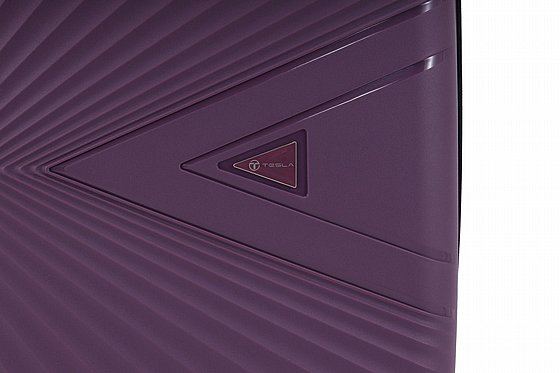 TESLA-����