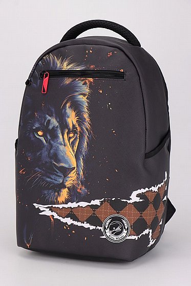 ��� �� Lion
