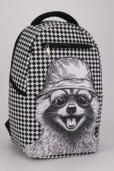 ��� �� Raccoon 