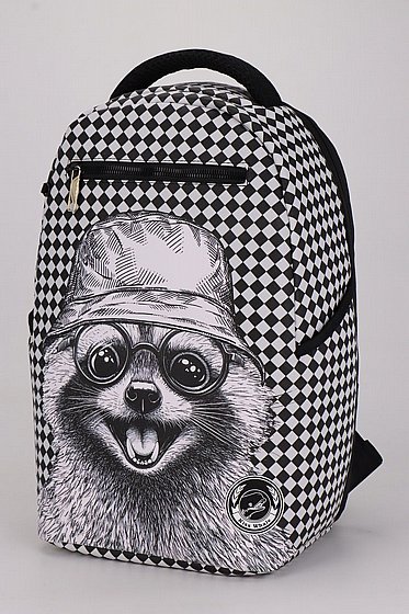 ��� �� Raccoon 