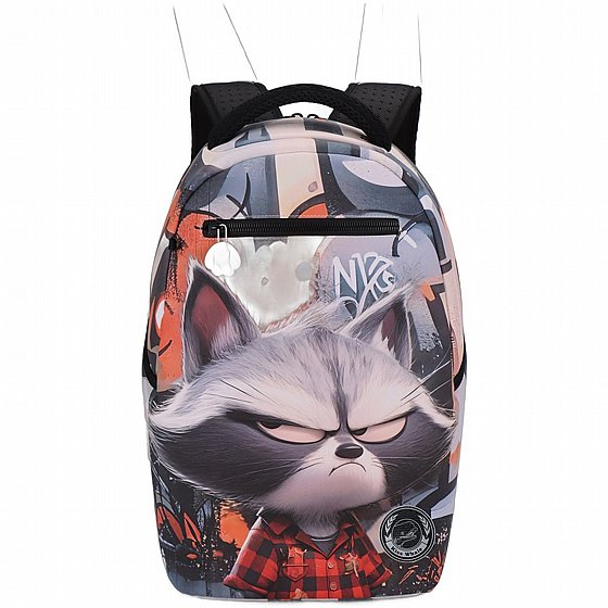 ��� �� Grumpy Raccoon 