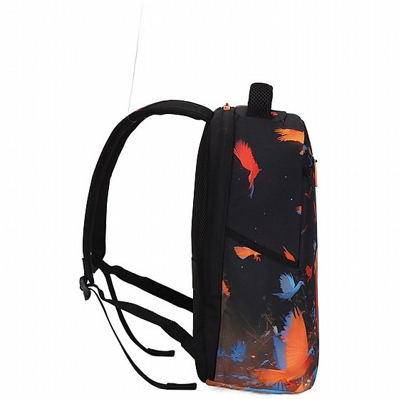 ��� �� Free Spirit