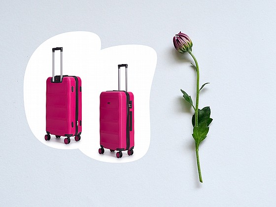 �� ������� -�� 3 ������� SWISS LUXE X ROSE RED