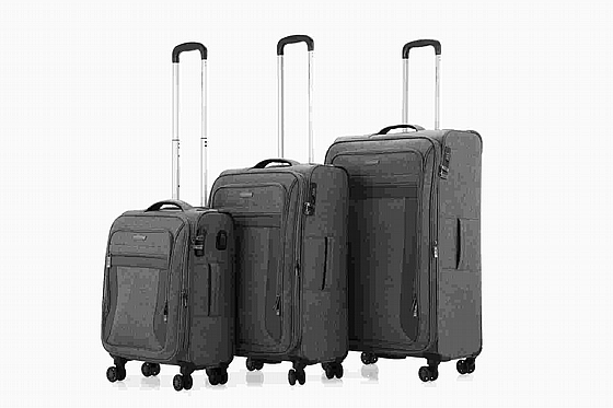 SWISS CHAMONIX �� 3 ������� 810